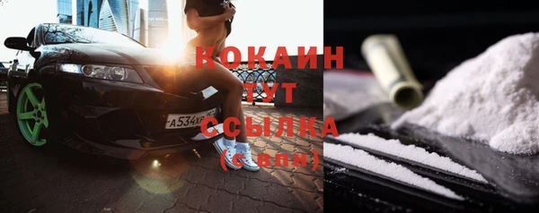 стафф Аркадак